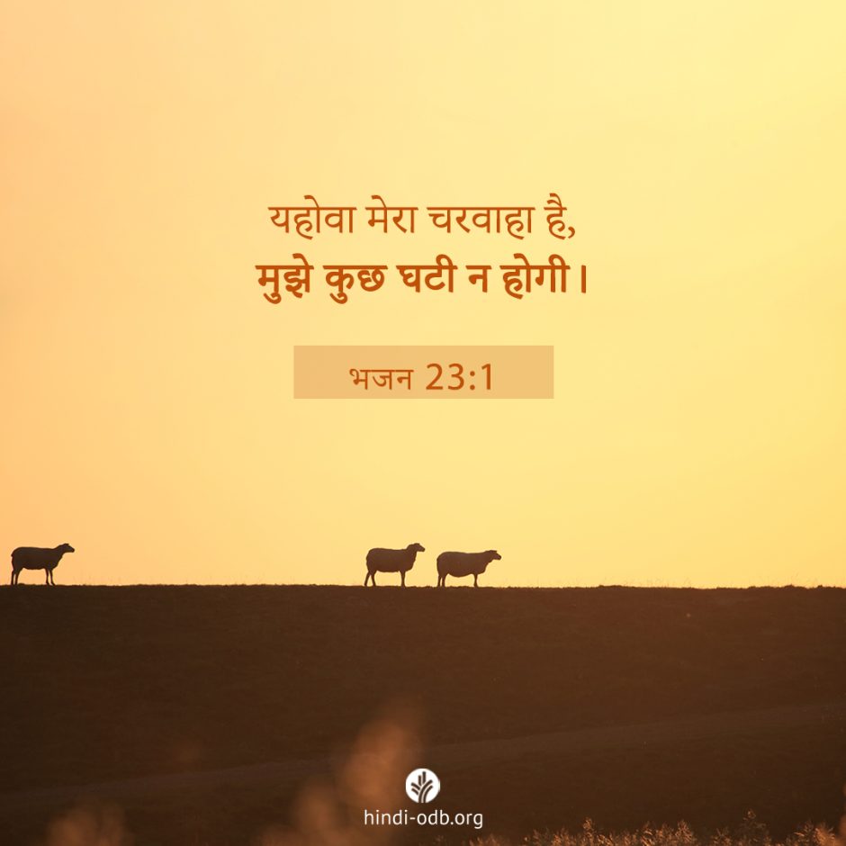 Share Hindi ODB 2022-12-07 Share Hindi ODB 2022-12-07