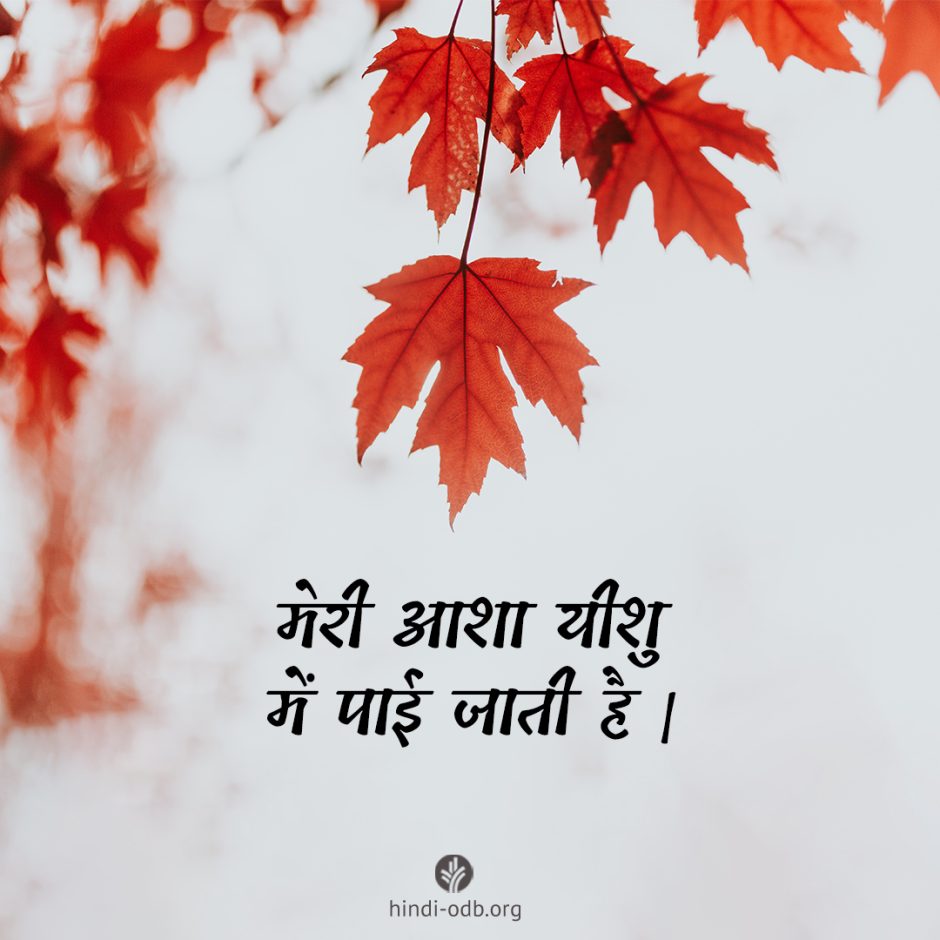 Share Hindi ODB 2025-05-01 Share Hindi ODB 2025-05-01