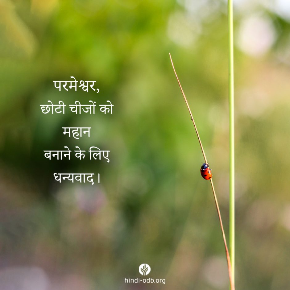 Share Hindi ODB 2025-05-27