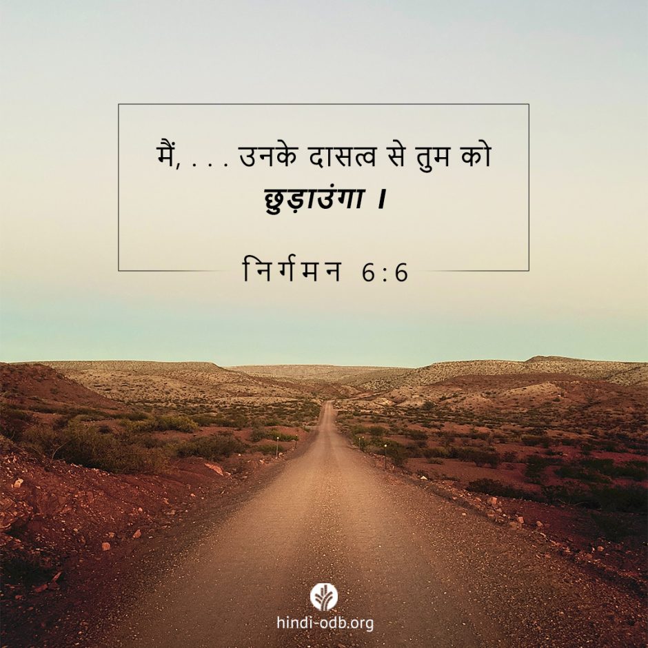 Share Hindi ODB 2025-08-06