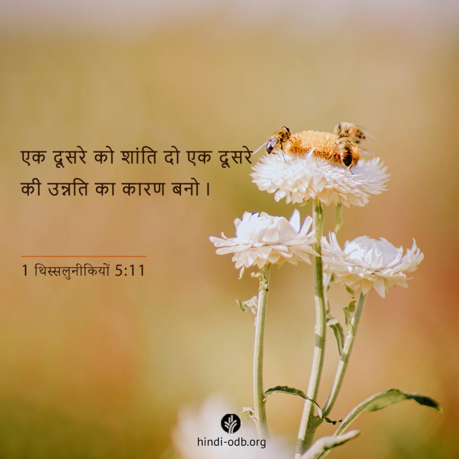 Share Hindi ODB 2025-08-21 Share Hindi ODB 2025-08-21