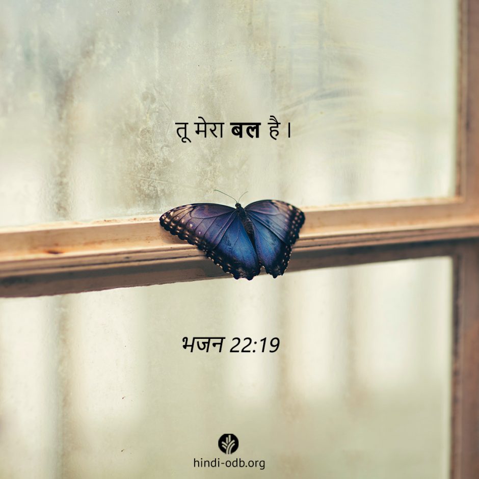 Share Hindi ODB 2025-08-26