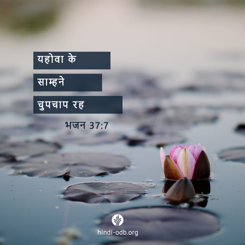 Share Hindi ODB 2025-09-12