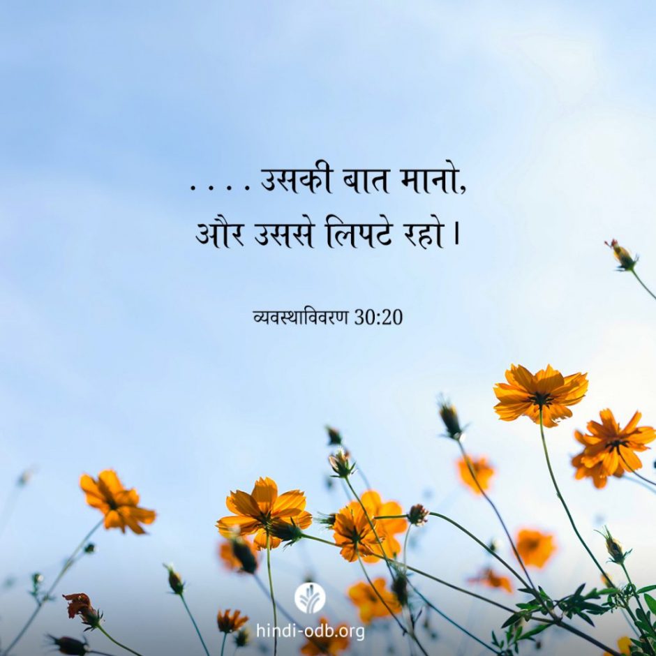 Share Hindi ODB 2025-10-06