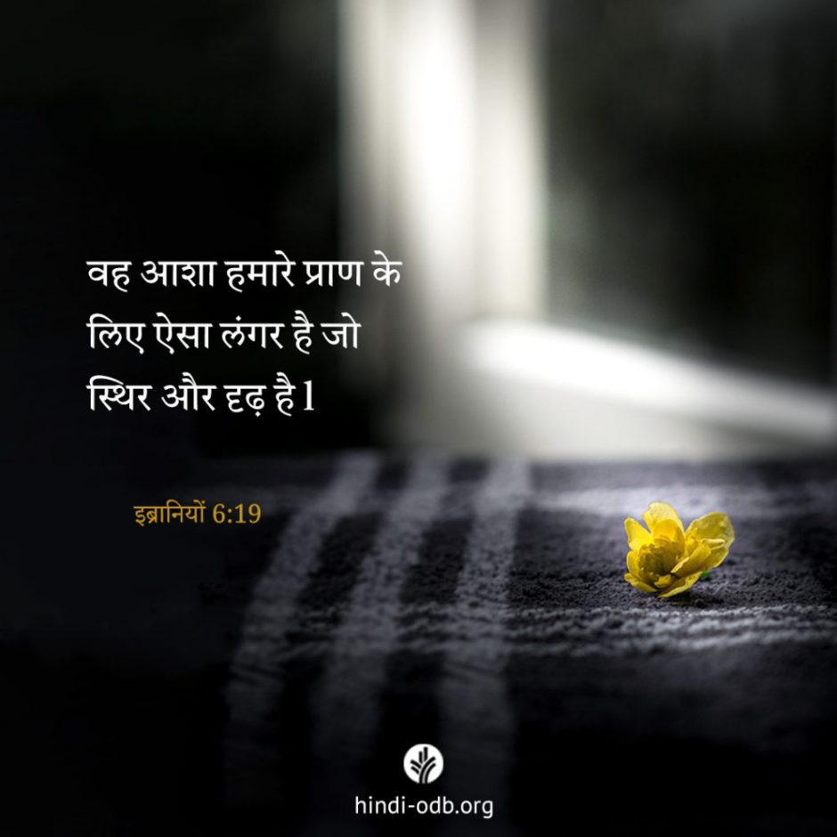 Share Hindi ODB 2025-10-17