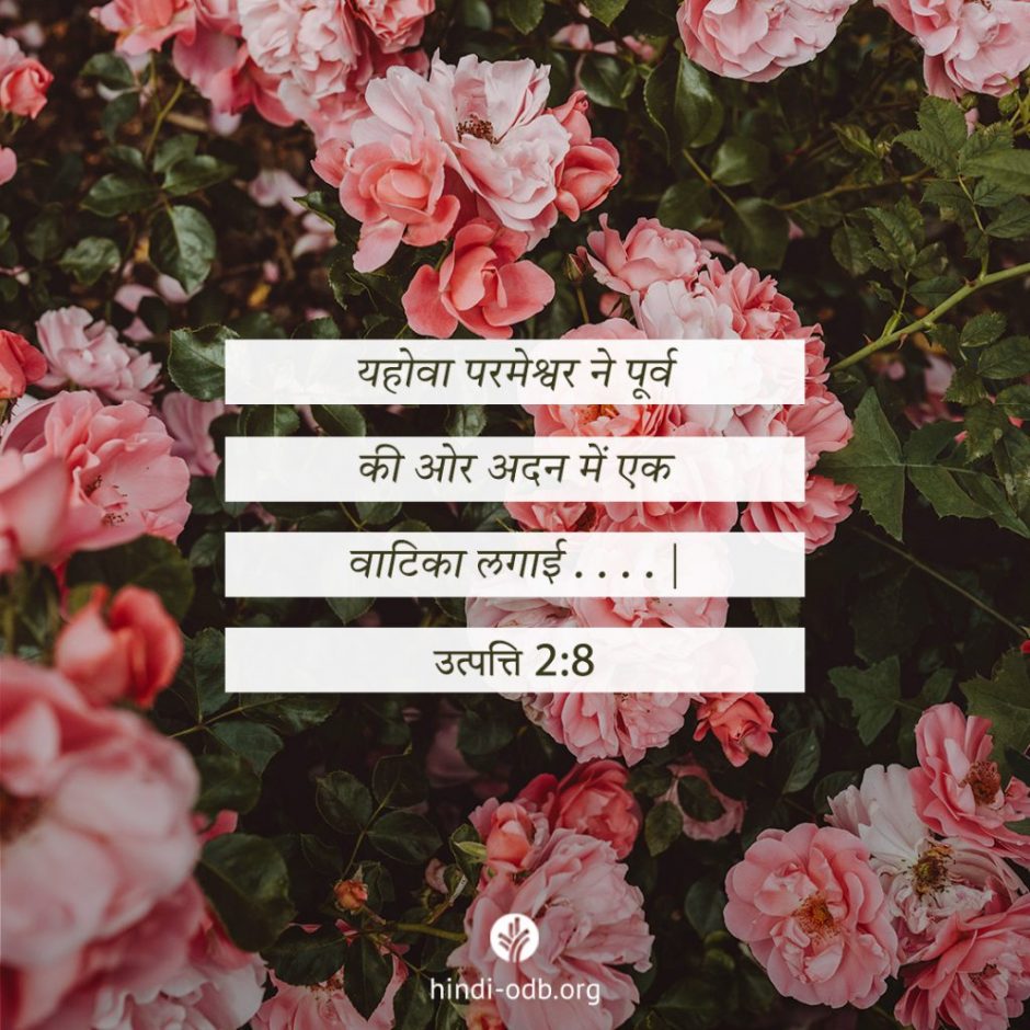 Share Hindi ODB 2025-10-20