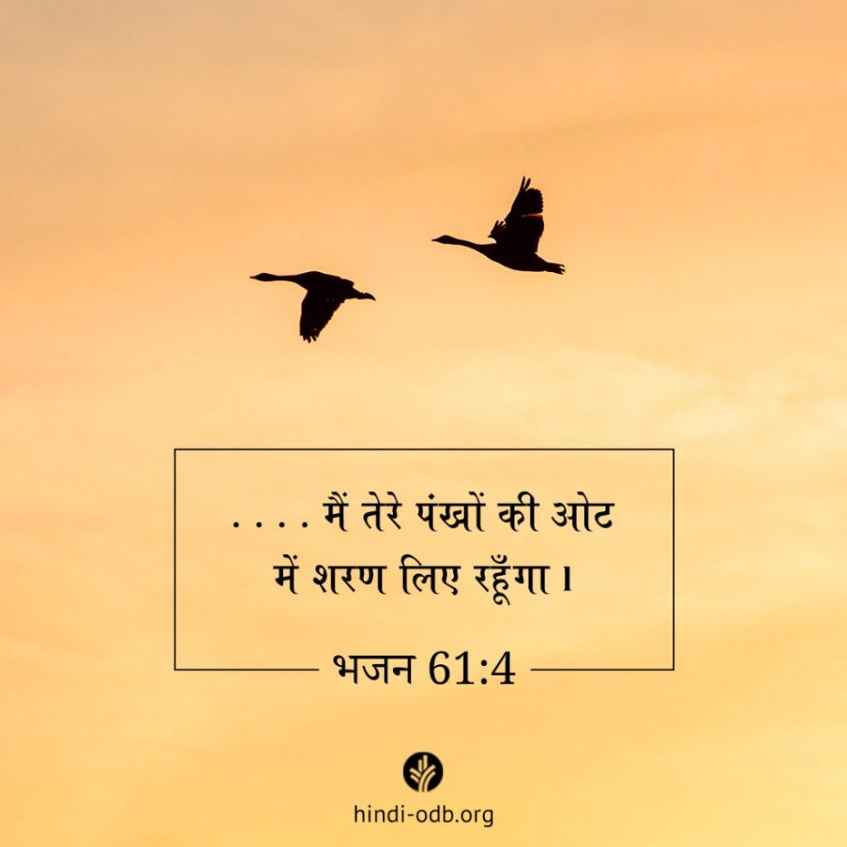 Share Hindi ODB 2025-10-31 Share Hindi ODB 2025-10-31