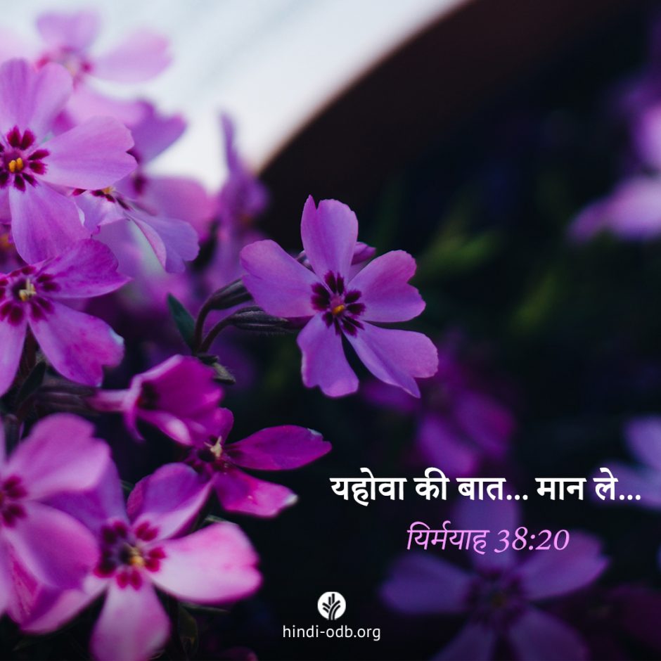 Share Hindi ODB 2025-12-03