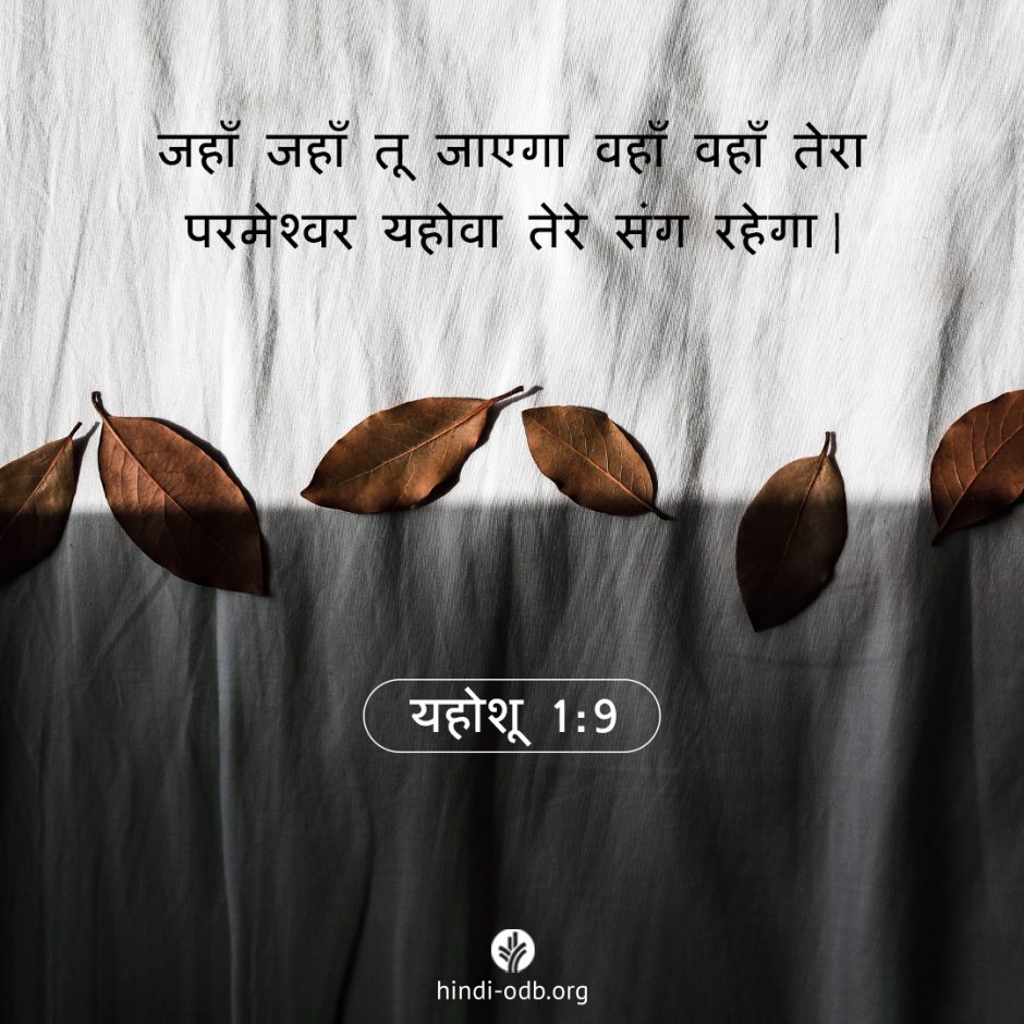 Share Hindi ODB 2025-12-05