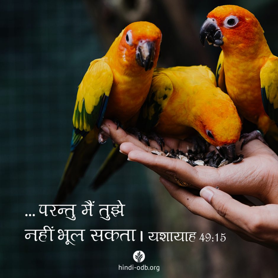 Share Hindi ODB 2025-12-10 Share Hindi ODB 2025-12-10