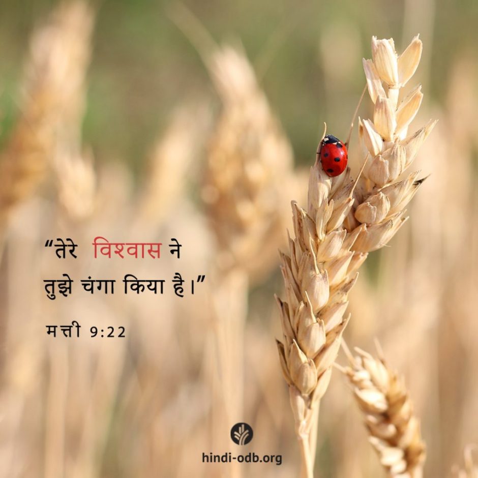 Share Hindi ODB 2025-11-12