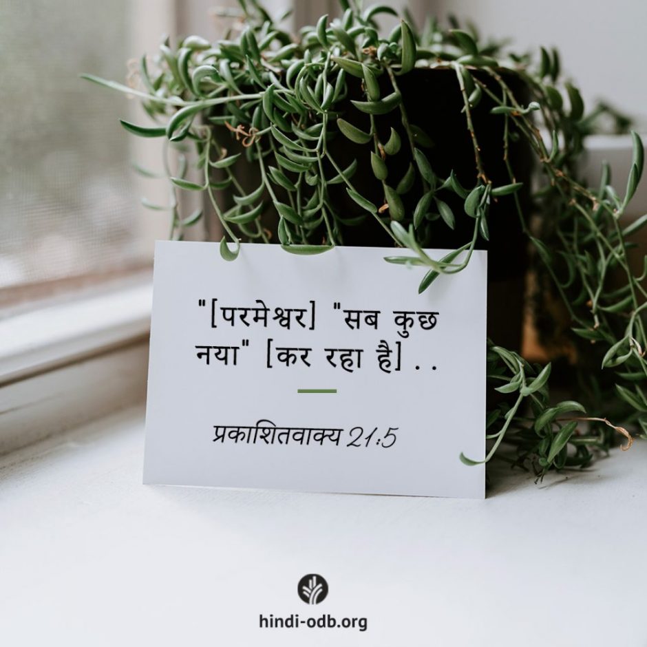 Share Hindi ODB 2025-11-13