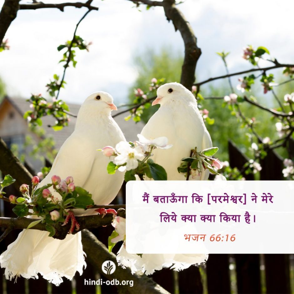 Share Hindi ODB 2025-11-16 Share Hindi ODB 2025-11-16