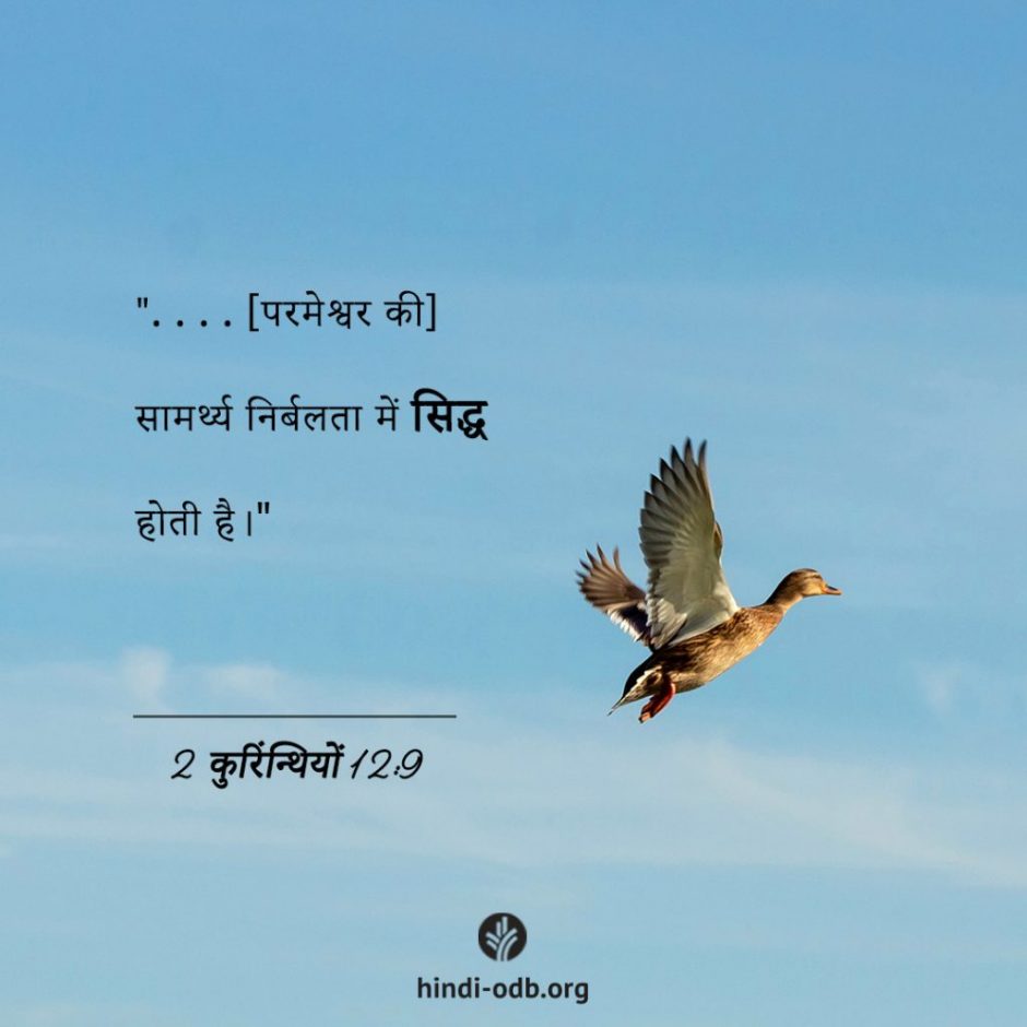 Share Hindi ODB 2025-11-19 Share Hindi ODB 2025-11-19