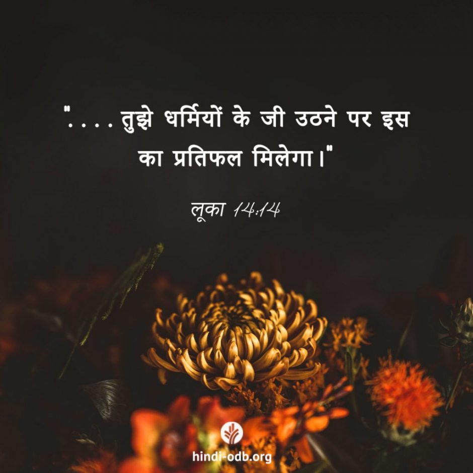 Share Hindi ODB 2025-11-23 Share Hindi ODB 2025-11-23