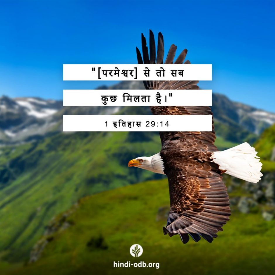 Share Hindi ODB 2025-11-26