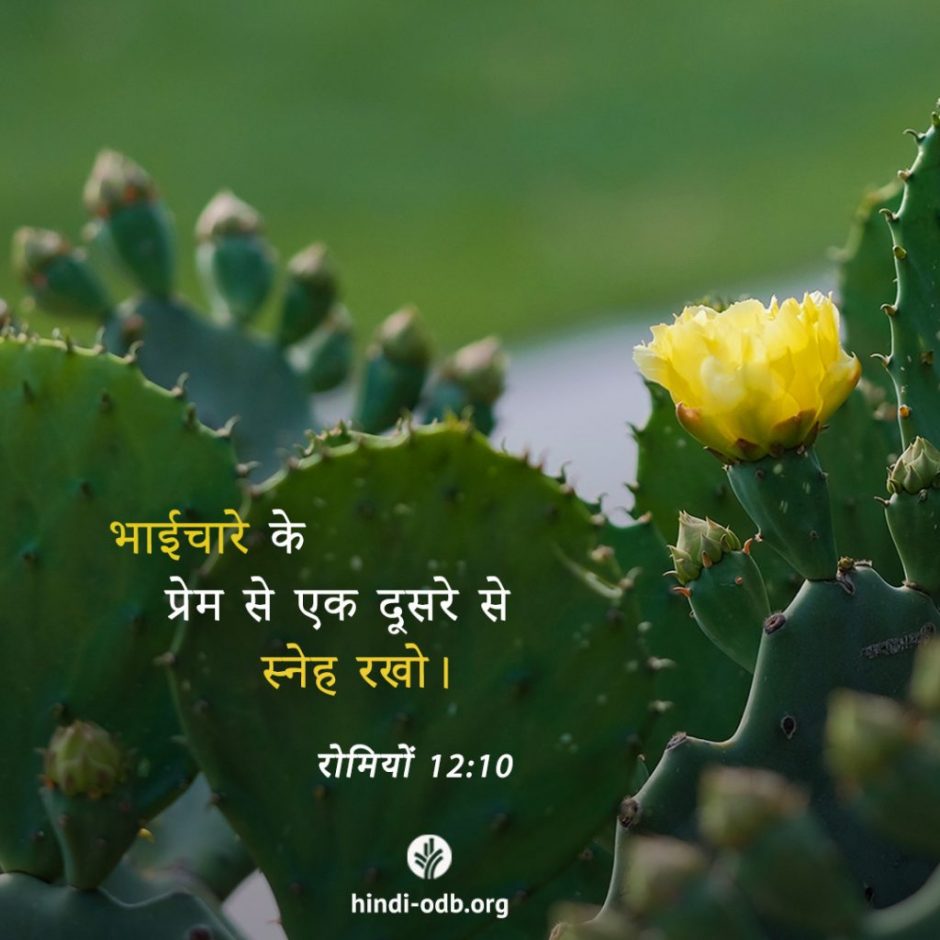 Share Hindi ODB 2025-11-28