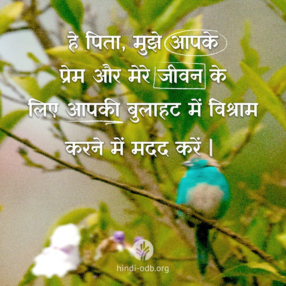 Share Hindi ODB 2026-06-05