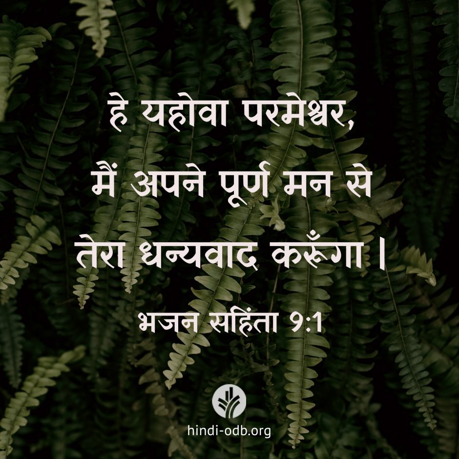Share Hindi ODB 2026-06-06