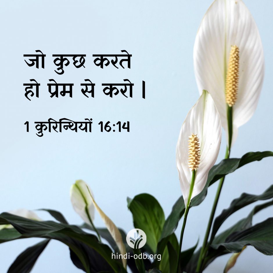 Share Hindi ODB 2026-06-09