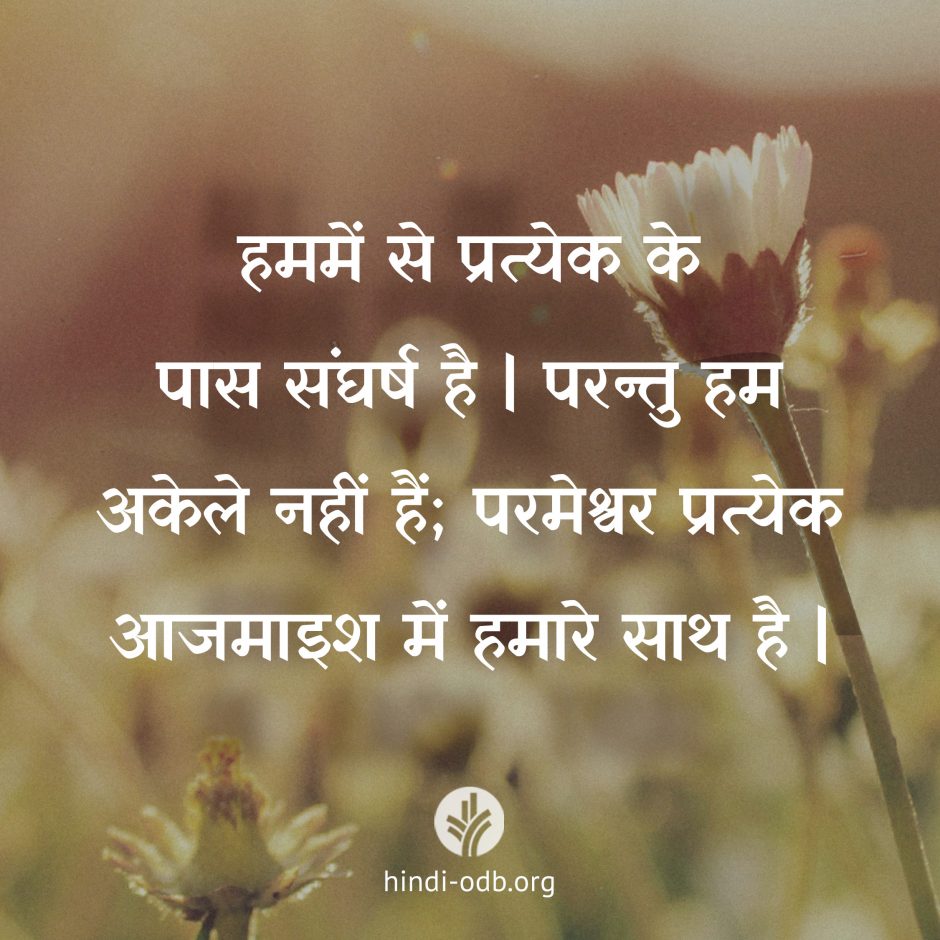 Share Hindi ODB 2026-07-05