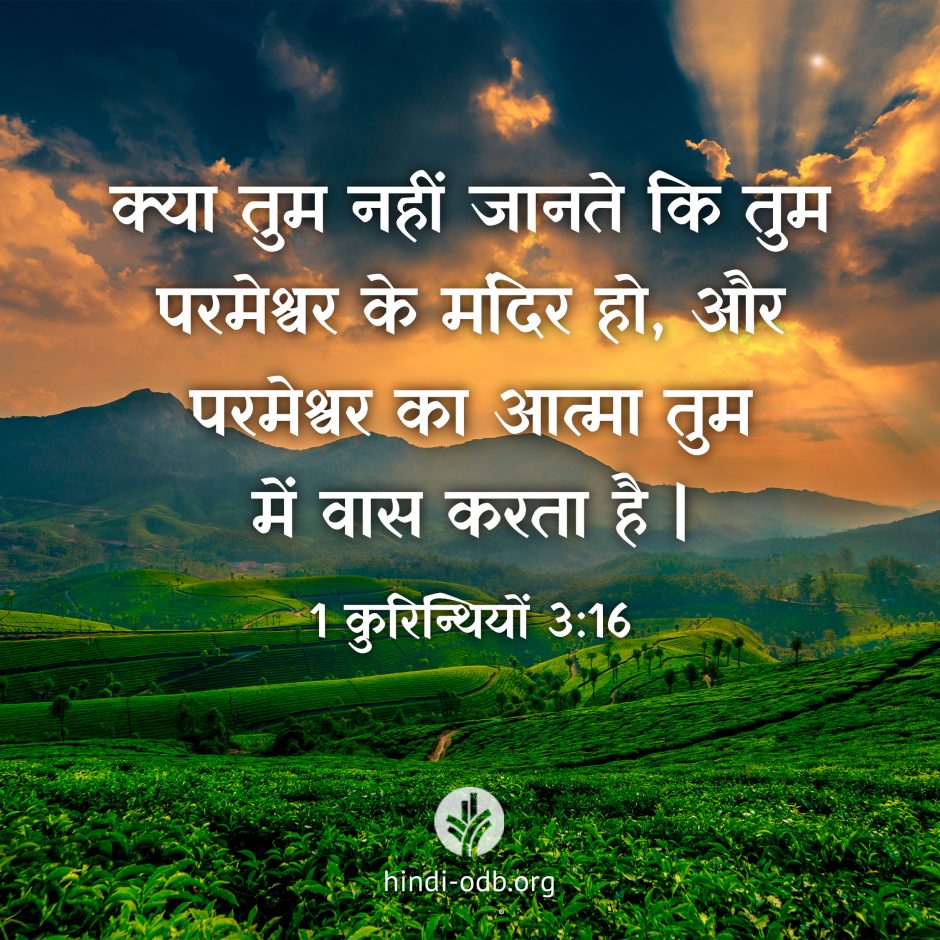 Share Hindi ODB 2026-07-29