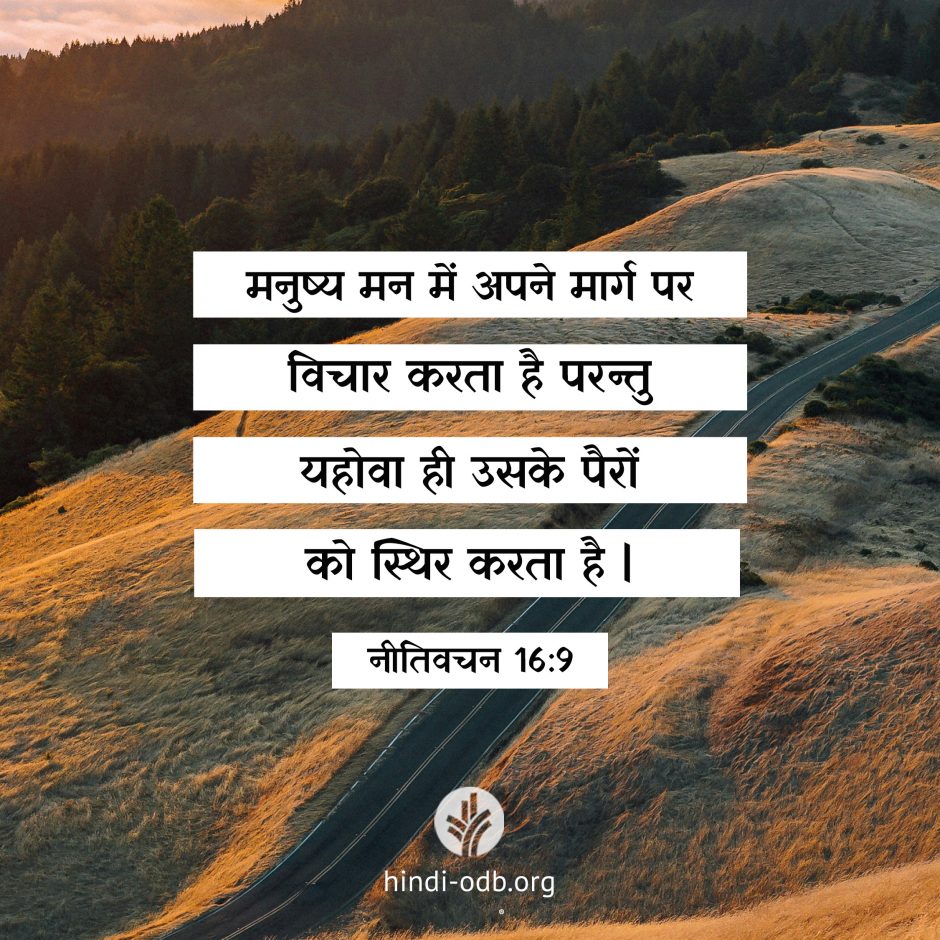 Share Hindi ODB 2026-07-30